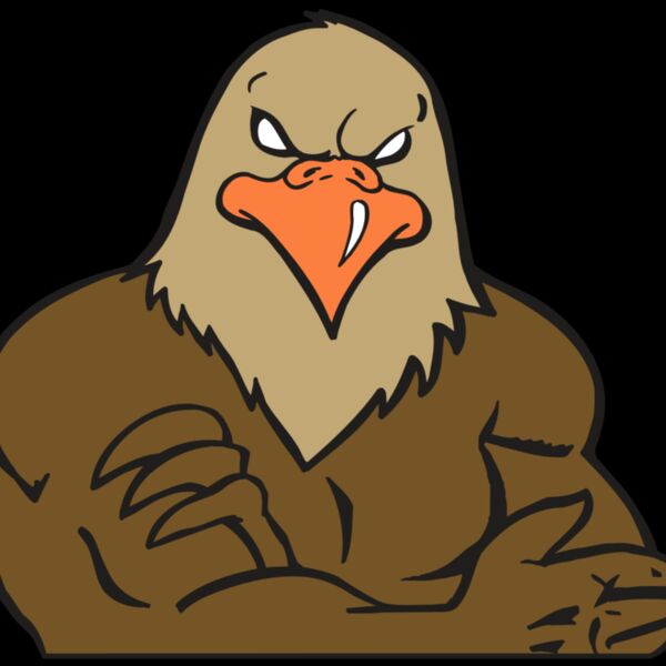 AR FALCON 26 RC Thumbnail